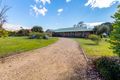 Property photo of 50 Gray Street Scone NSW 2337