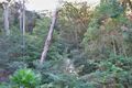 Property photo of 131A Greenhaven Drive Umina Beach NSW 2257