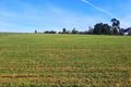 Property photo of 2 Five Acre Row Westbury TAS 7303