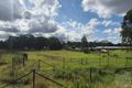 Property photo of 280 Bringelly Road Austral NSW 2179