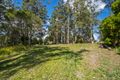 Property photo of 822 Yandina-Cooloolabin Road Cooloolabin QLD 4560