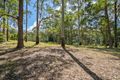 Property photo of 822 Yandina-Cooloolabin Road Cooloolabin QLD 4560