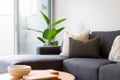Property photo of 165 Northbourne Avenue Turner ACT 2612
