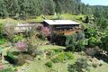 Property photo of 250B Wollombi Road St Albans NSW 2775