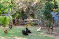 Property photo of 25-27 Boxgum Court Ningi QLD 4511