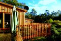 Property photo of 1429 Cradle Mountain Road Moina TAS 7310