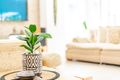 Property photo of 20 Countryview Street Woombye QLD 4559