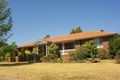 Property photo of 19 Maplewood Drive Darling Heights QLD 4350