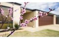 Property photo of 104 Piara Drive Piara Waters WA 6112