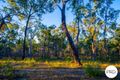Property photo of 408 Davies Road Captain Creek QLD 4677
