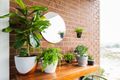 Property photo of 2/268 Johnston Street Annandale NSW 2038