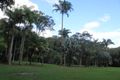 Property photo of 10 Richards Road Julatten QLD 4871
