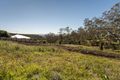 Property photo of 17 Coventry Court Mount Lofty QLD 4350