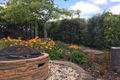 Property photo of 41 Grandview Avenue Park Grove TAS 7320
