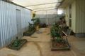 Property photo of 14 Bahnisch Avenue Berri SA 5343