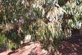 Property photo of 47 Barretts Road Clapham SA 5062