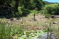 Property photo of 123 Golden Gully Road Kin Kin QLD 4571