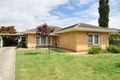 Property photo of 84 Wheaton Street South Plympton SA 5038