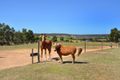 Property photo of 111 Alawoona Circle Bullsbrook WA 6084