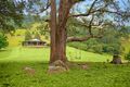 Property photo of 763 Mooral Creek Road Strathcedar NSW 2429