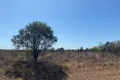 Property photo of 36320 Kidman Way Cobar NSW 2835