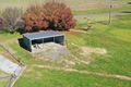 Property photo of 100 Belmore Road Burrangong NSW 2594