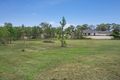 Property photo of 97 South Street Medowie NSW 2318