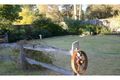 Property photo of 7 Hume Place Appin NSW 2560