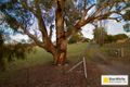 Property photo of 24 Nirta Drive Murrumbateman NSW 2582