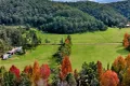 Property photo of 541 Yango Creek Road Laguna NSW 2325