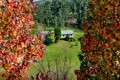 Property photo of 541 Yango Creek Road Laguna NSW 2325