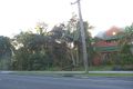 Property photo of 79-81 Bangalow Road Byron Bay NSW 2481