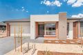 Property photo of 171 Wattletree Street Craigieburn VIC 3064