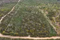 Property photo of 323 Endrick River Road Nerriga NSW 2622