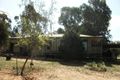 Property photo of 503 Caddy Road Loveday SA 5345