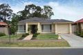 Property photo of 8 Kensington Street Clovelly Park SA 5042