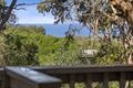 Property photo of 48 Fifth Avenue Anglesea VIC 3230