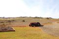 Property photo of 57 Omega Road Mannum SA 5238