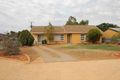 Property photo of 19 Farmer Street Barmera SA 5345
