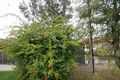 Property photo of 18 May Terrace Ottoway SA 5013