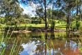 Property photo of 217-229 Beattie Road Mundoolun QLD 4285