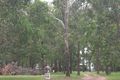 Property photo of 109 Phillip Crescent Barellan Point QLD 4306