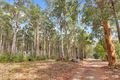 Property photo of LOT 11553 Abbott Street Pemberton WA 6260