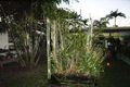 Property photo of 36 Allamanda Avenue Forrest Beach QLD 4850