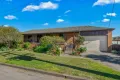 Property photo of 7 Ellen Avenue Singleton NSW 2330