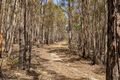 Property photo of LOT 1 Phipps Road Runnymede TAS 7190