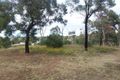 Property photo of 20 Pine Street Eaglehawk VIC 3556