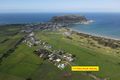 Property photo of 117 Main Road Stanley TAS 7331