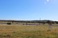 Property photo of 4 Jacamar Drive Northam WA 6401