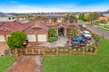 Property photo of 44 Plukavec Circuit Prestons NSW 2170